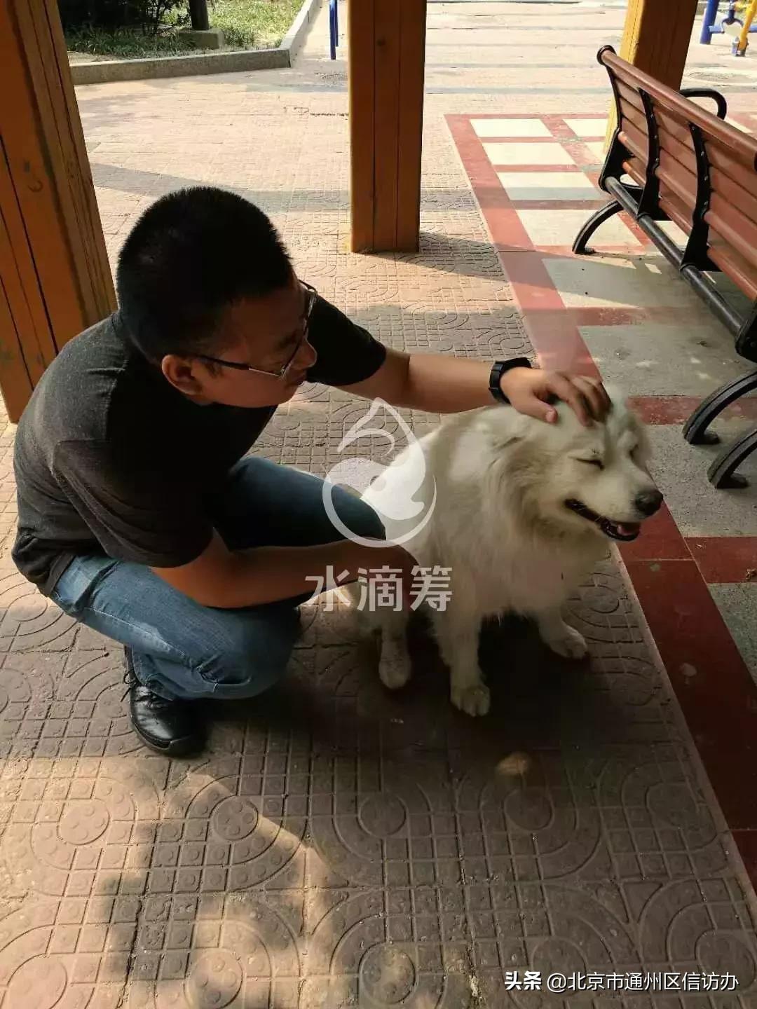 通州一中年男子被甲流击垮!两个月ICU花费超百万!紧急求助