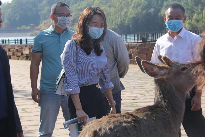 禁养犬种何去何从,禁养才是正道吗