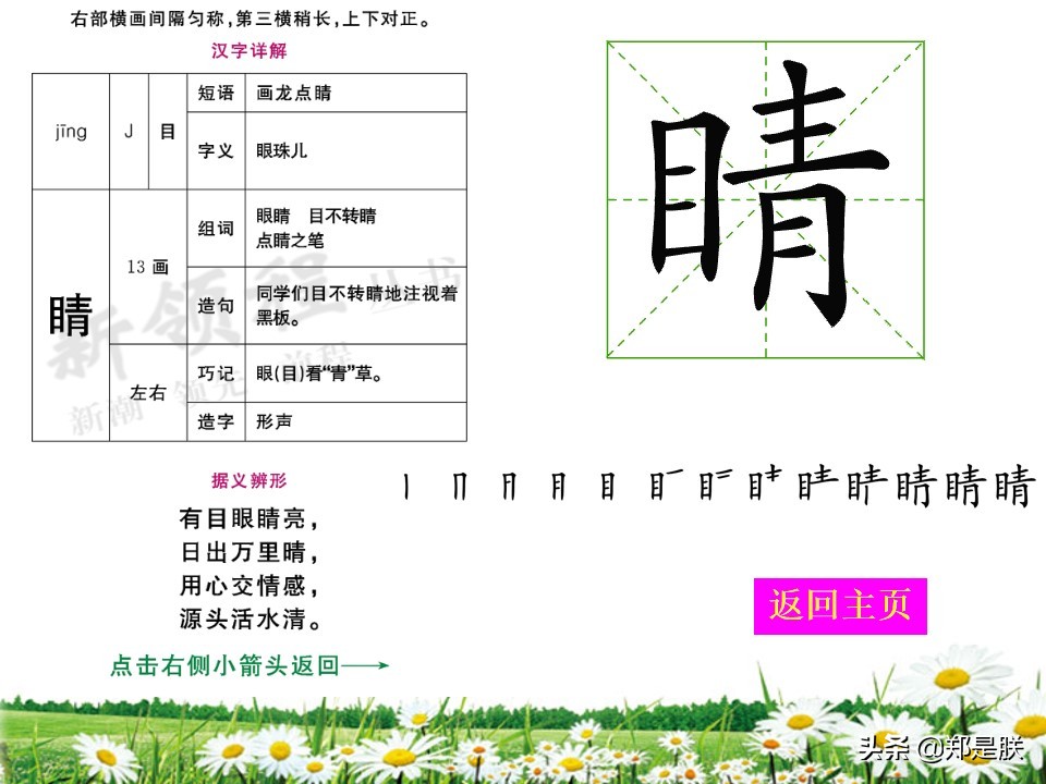 二年级小蝌蚪找妈妈诵读,二年级语文第1课小蝌蚪找妈妈