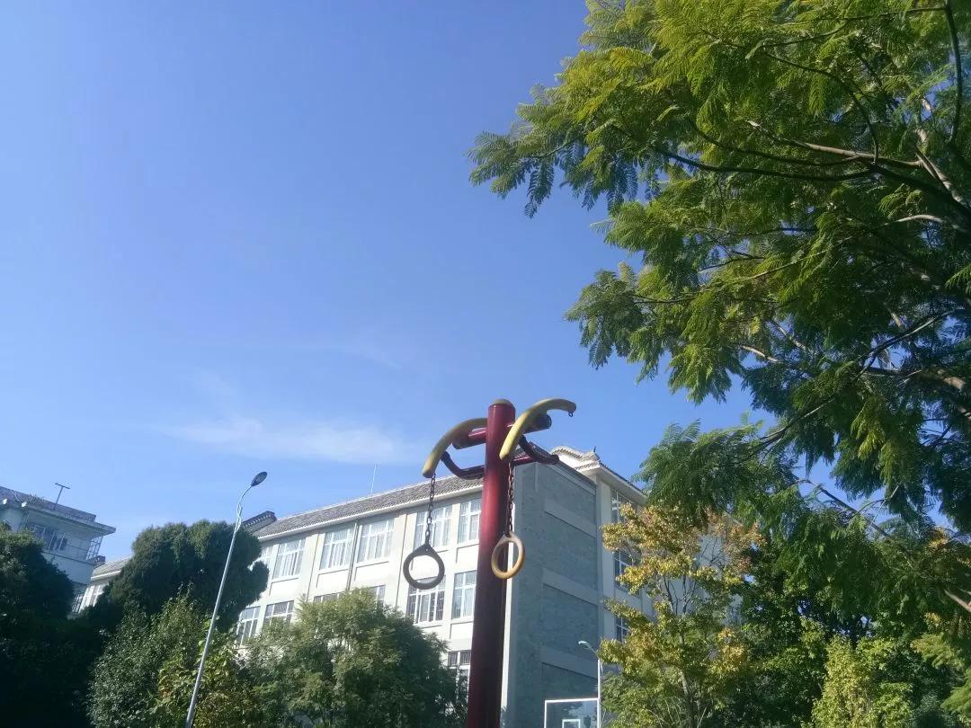 纪录片精神病院的生活,美国精神病院真实生活