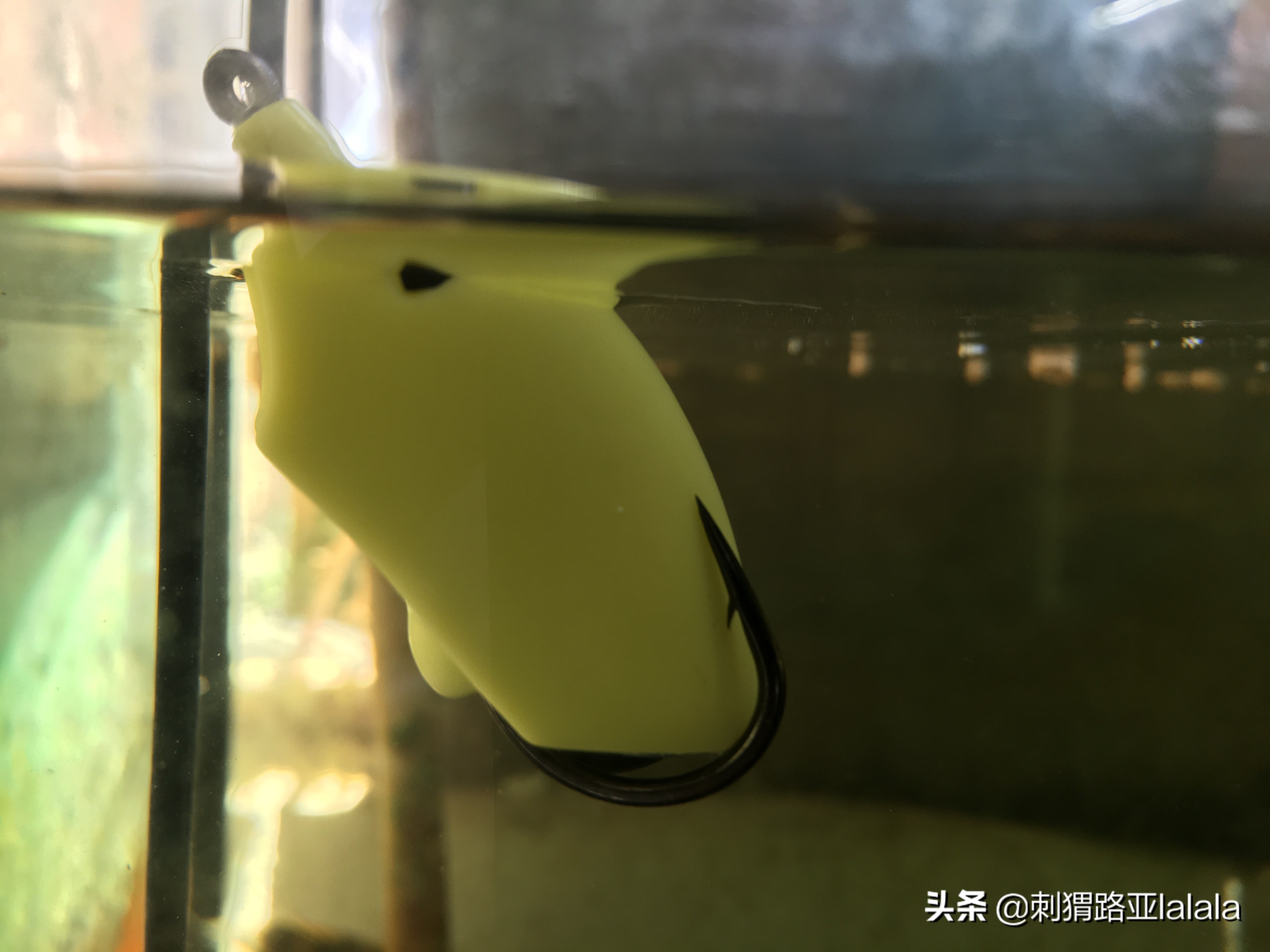 路亚鱼口不好应该用大饵还是小饵,路亚钓翘嘴用浮饵好还是沉饵好