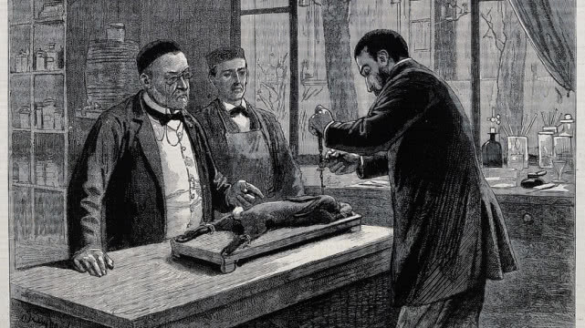 恶意传播狂犬病毒,史上最致命的病毒狂犬病毒