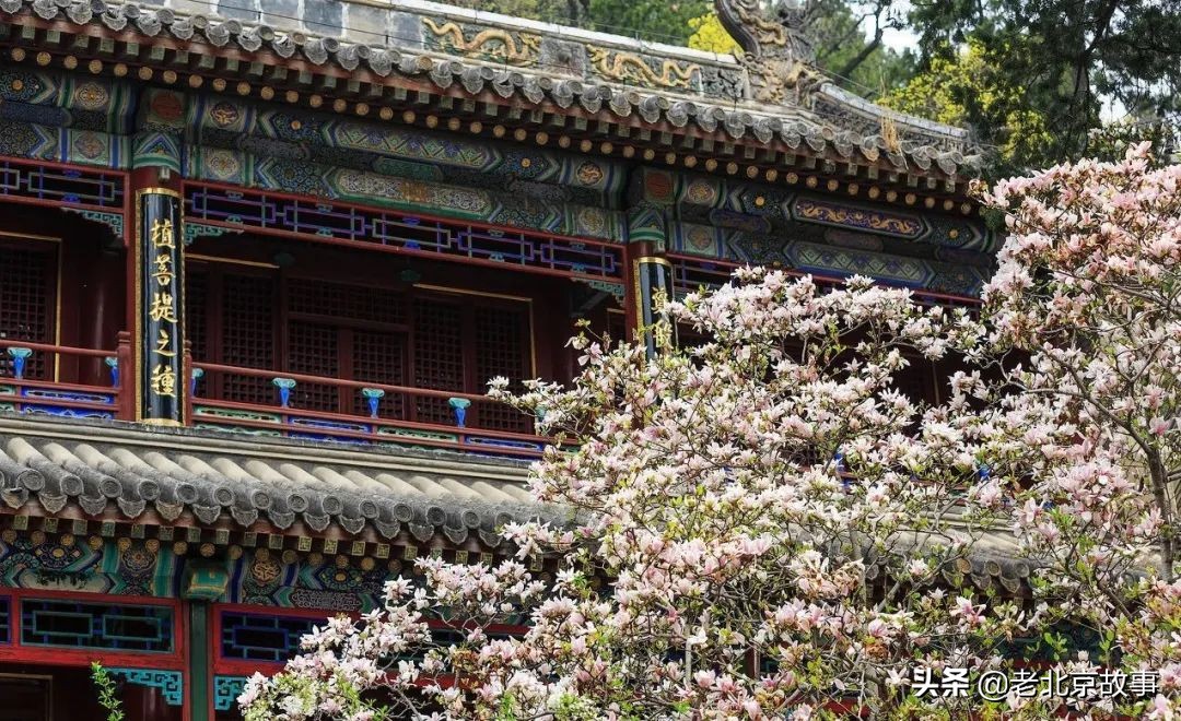 北京有哪些地标值得去看一下,北京的地标建筑物有哪些