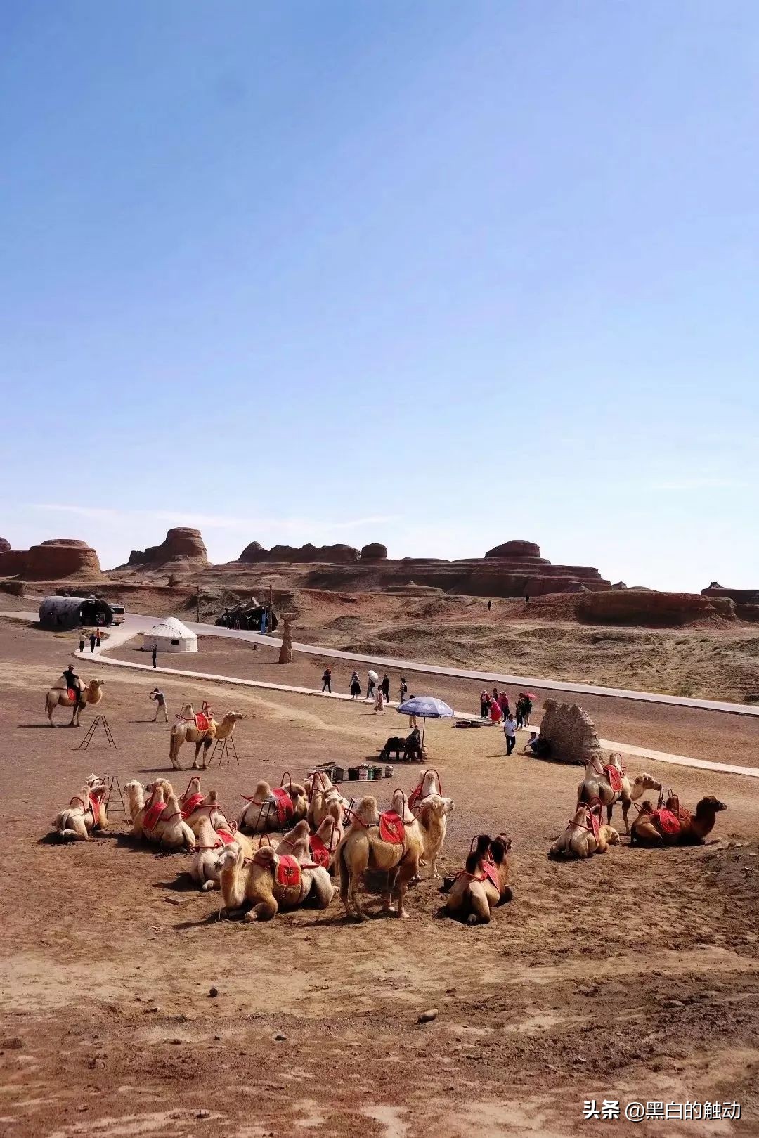 都说新疆好去新疆发展可靠么,都说新疆好地方