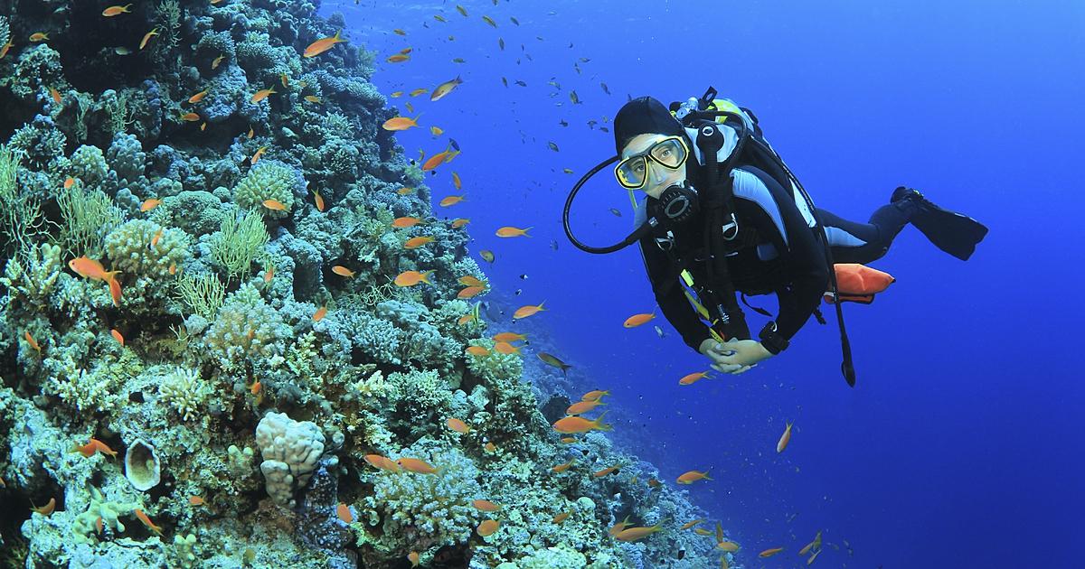 2斤龙虾100块钱,2斤龙虾58元