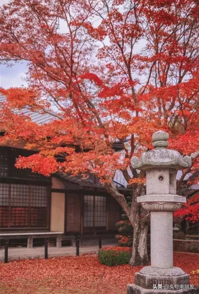 周杰伦说好一起去旅行,周杰伦说好不哭影响力