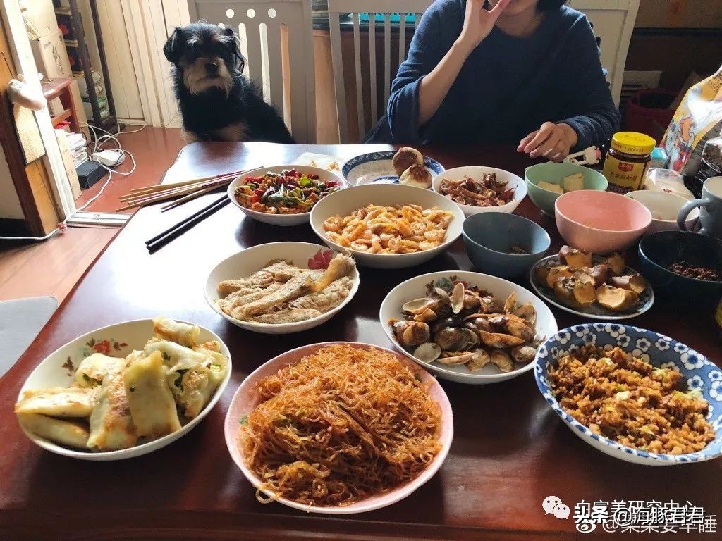 北京小公主靠吸猫血成百万大V，直播整容、大照骗、2年养死3只猫