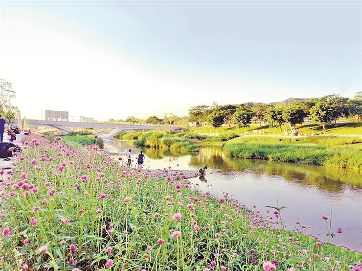 深圳大气环境6项指标连续8年全面达标，茅洲河创有监测数据以来最好水平