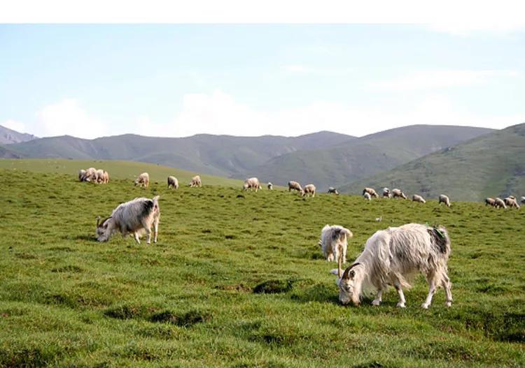 矿山风云评书大全,矿山风云录第一部