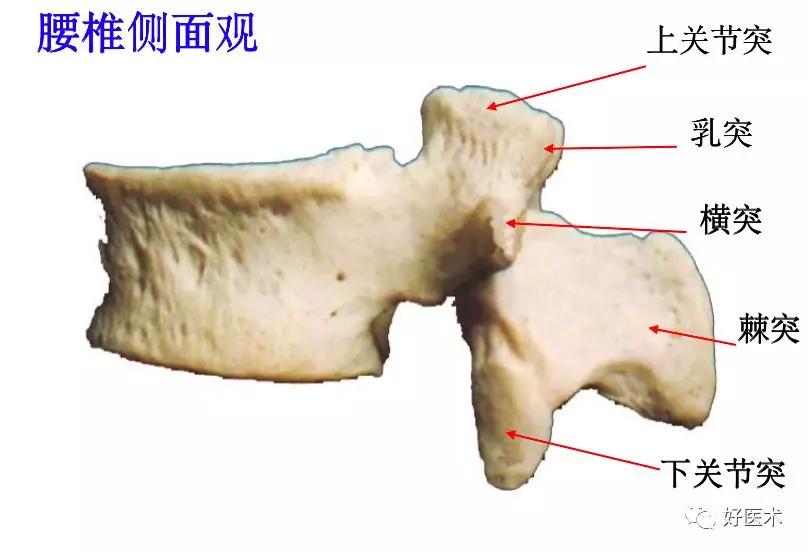 腰部ct需要注意事项,做腰部ct需要注意的事项