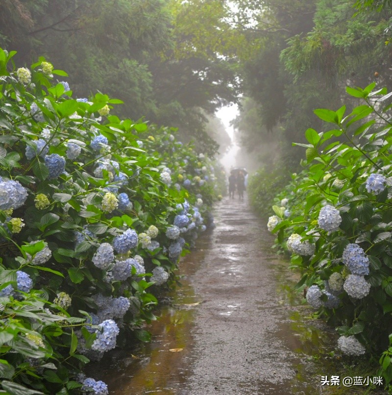 说走就走的半日游攻略,说走就走国外旅游攻略