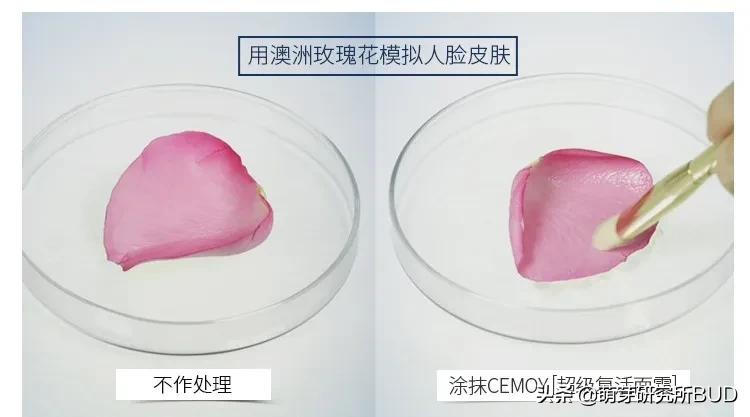 护肤水乳清爽防过敏大牌,护肤保湿水乳平价推荐女生