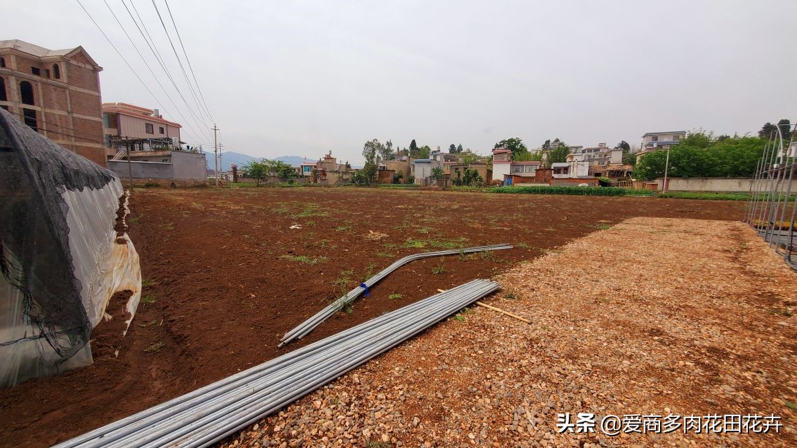 澶氳倝绉嶆鍒涗笟鍚堜綔,澶氳倝绉嶆鍒涗笟椤圭洰