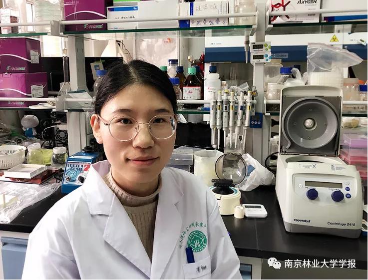 论文推荐||欧美杨PdMODD基因克隆与表达特性分析