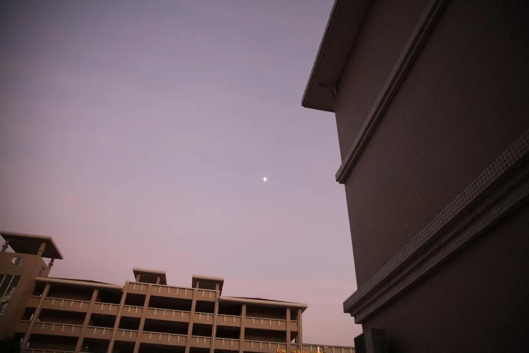 东莞市虎门外语学校中考喜报,东莞虎门外语学校2023高考喜报