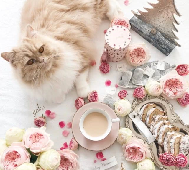 开花店一定要懂花艺吗,新开花店必备的花艺有哪些