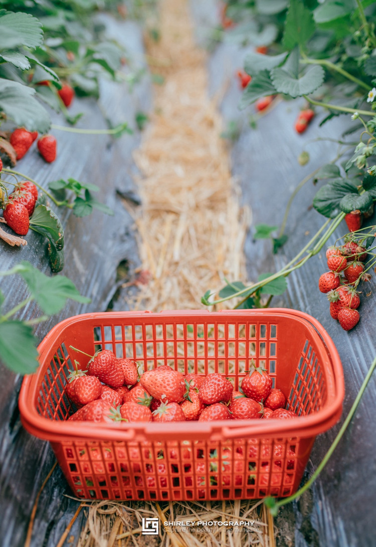 安藤忠雄建筑细节作品集,安藤忠雄代表作品介绍图文