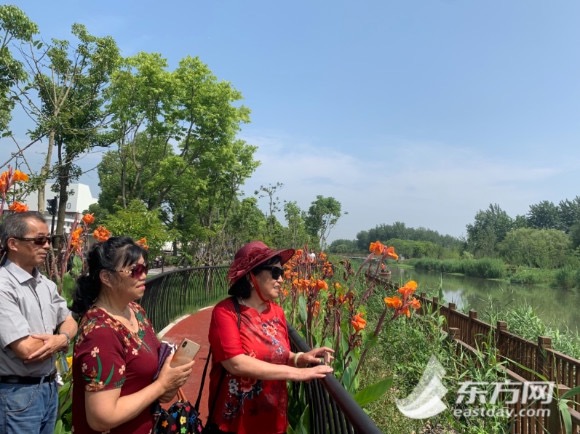 上海的黄浦江有多脏,上海的河道为什么那么臭