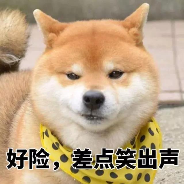 德国留学签证办理流程全攻略,留学秘籍