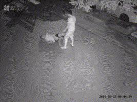 女孩深夜被暴打28次,当街扒衣拖行:孩子,你不必那么善良