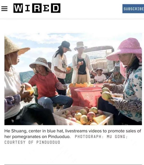 拼多多生鲜电商模式,与拼多多共探智慧农业的中国经验