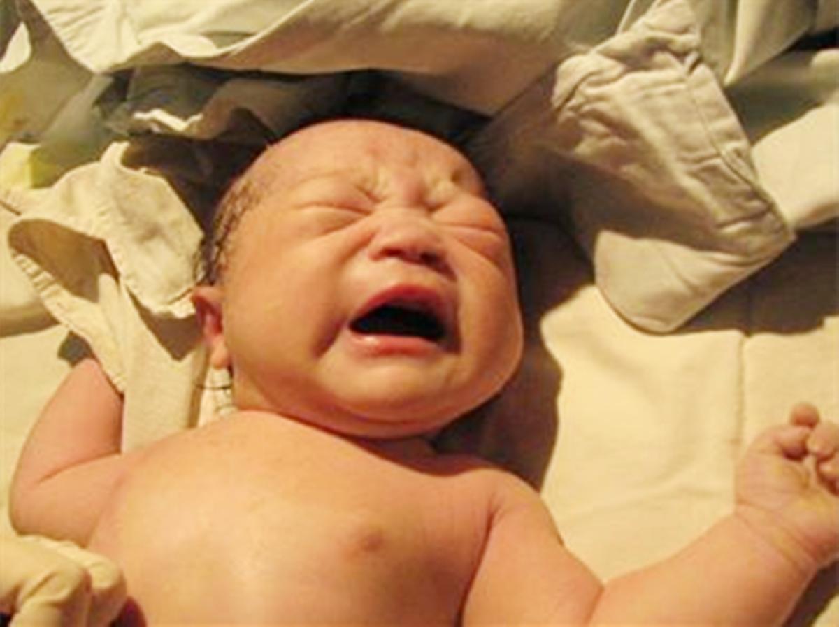 刚生出来的宝宝会做什么,刚出生的婴儿每天该如何照顾