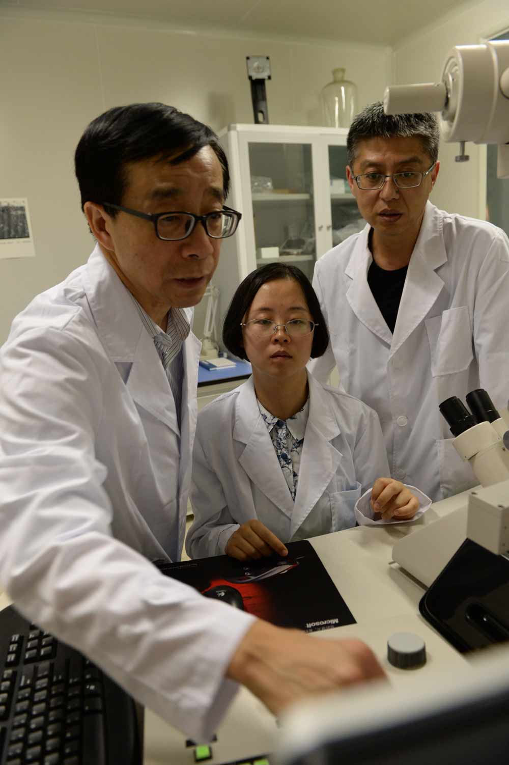 东方神草中华瑰宝,中国神草纪录片