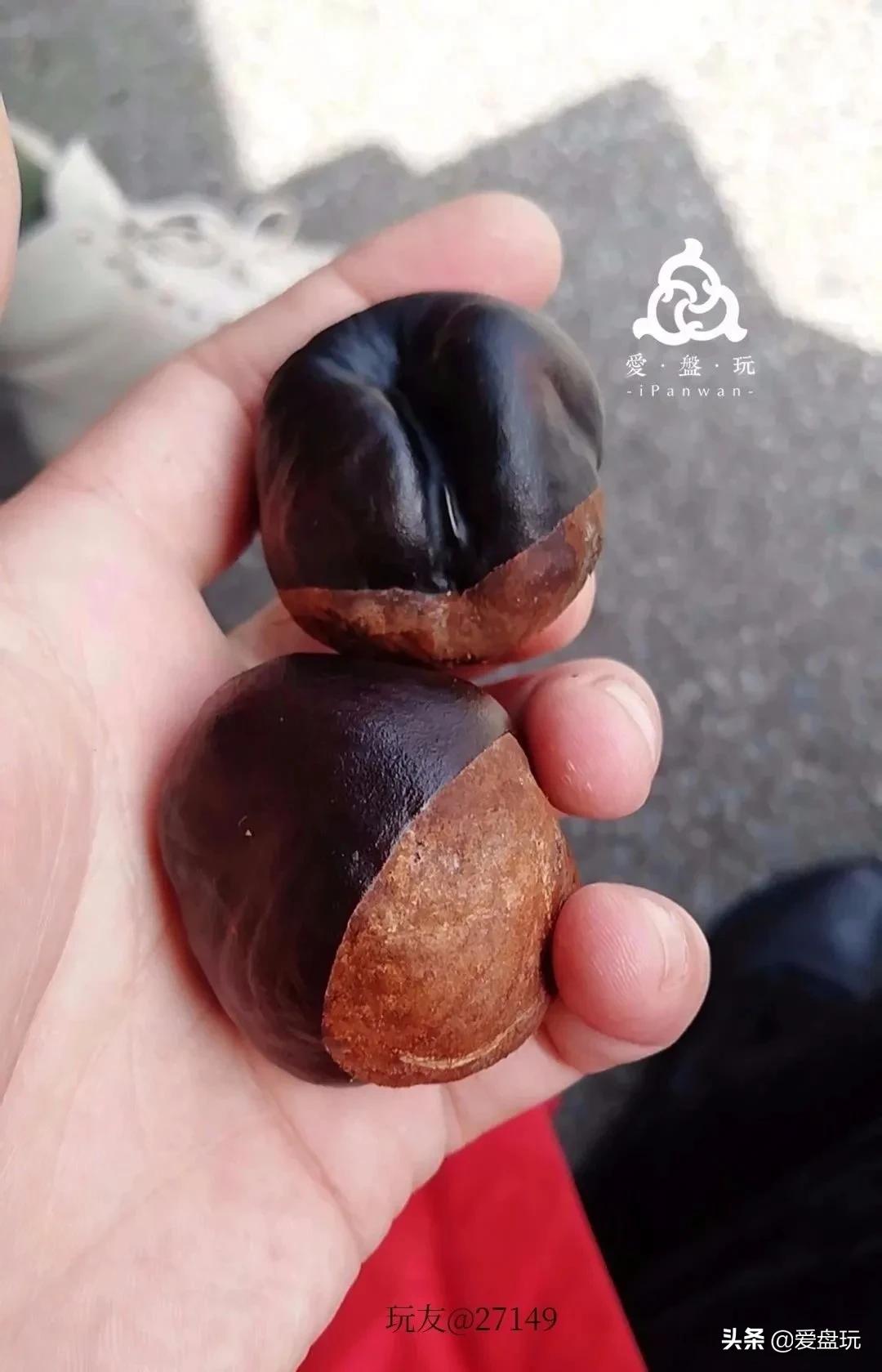 栗子，也能玩？这算啥，看看我玩的