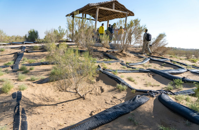 中国八大沙漠治理现状卫星地图,罗布泊沙漠现状