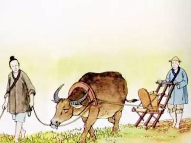 王蒙谈历法,王蒙历法