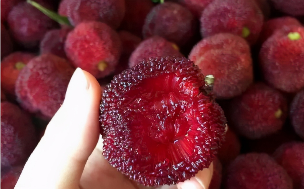 清洗杨梅汁的小窍门,清洗杨梅的正确方法