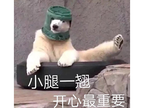 让中国人玩出花的steam游戏,中国人做的游戏