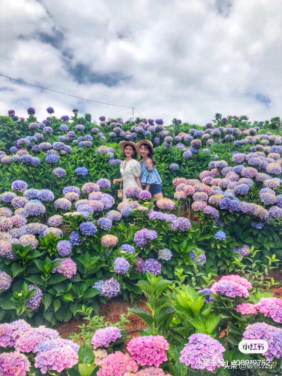 被大理的美景所折服,被丽江的风景美到了