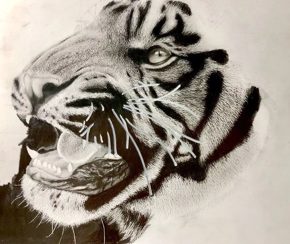 失明女孩铅笔画,手绘眼睛流泪铅笔画