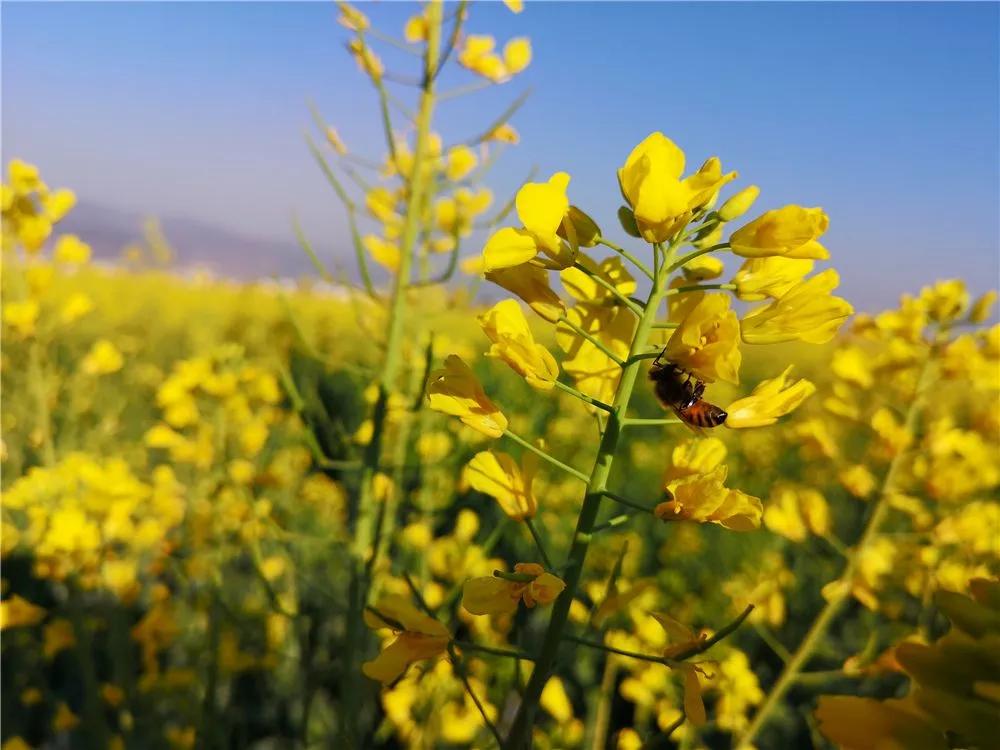瞧!这花花世界谁不爱