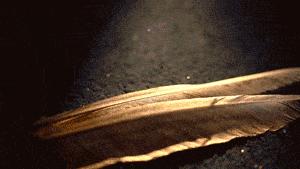 这3个颜色超级显白,这3个颜色清爽又高级