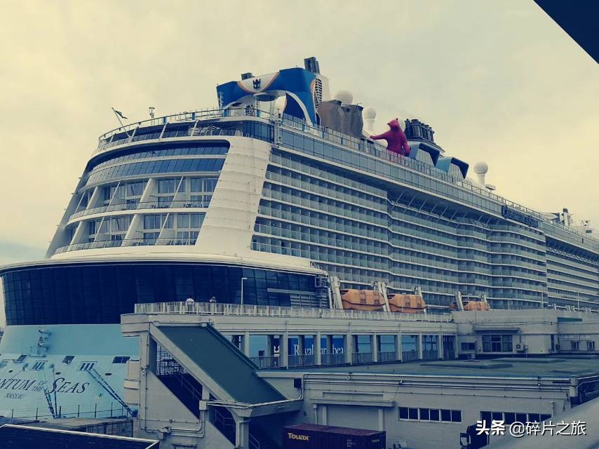 上海游轮去日本攻略,上海去日本的邮轮旅游攻略