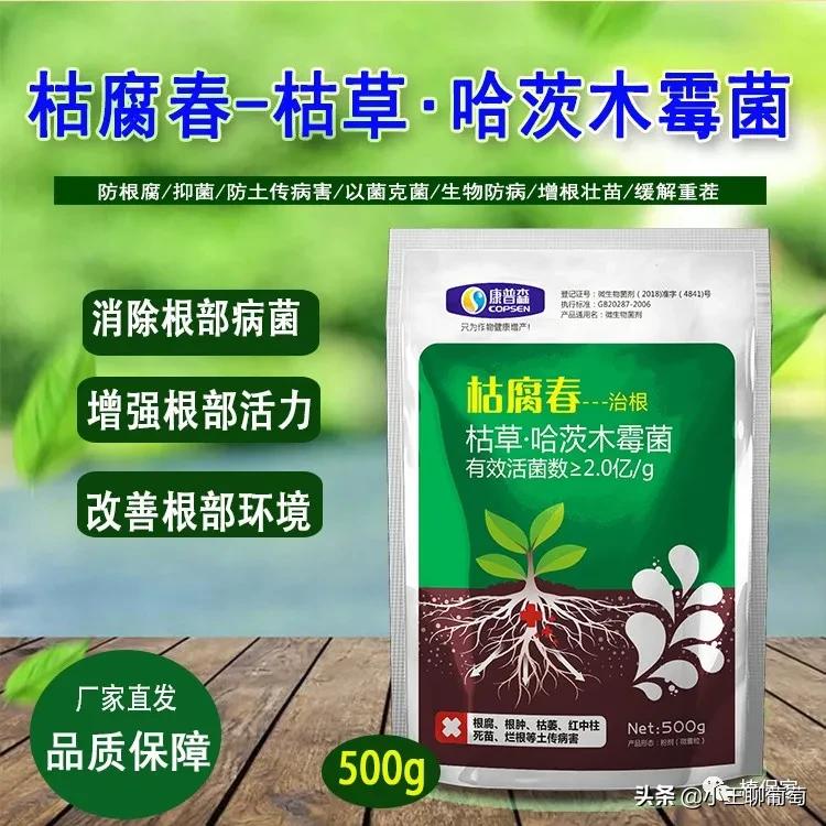 微生物菌剂治病,植物通用微生物菌剂