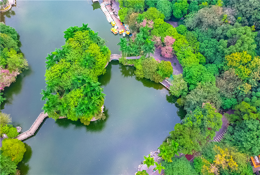 广西最不可思议城市,广西最奇葩的城市是哪个