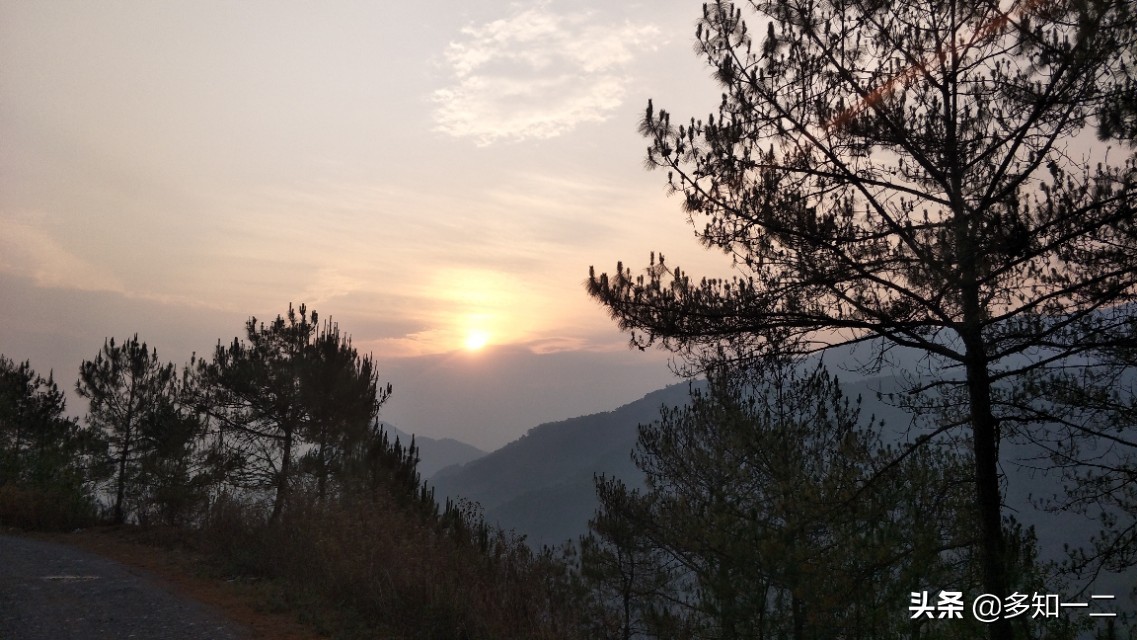 古六大茶山茶叶的特点,古六大茶山及茶的特点