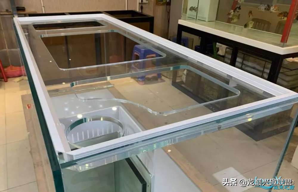 草缸需要买一体化鱼缸吗,为什么没有一体成型的鱼缸