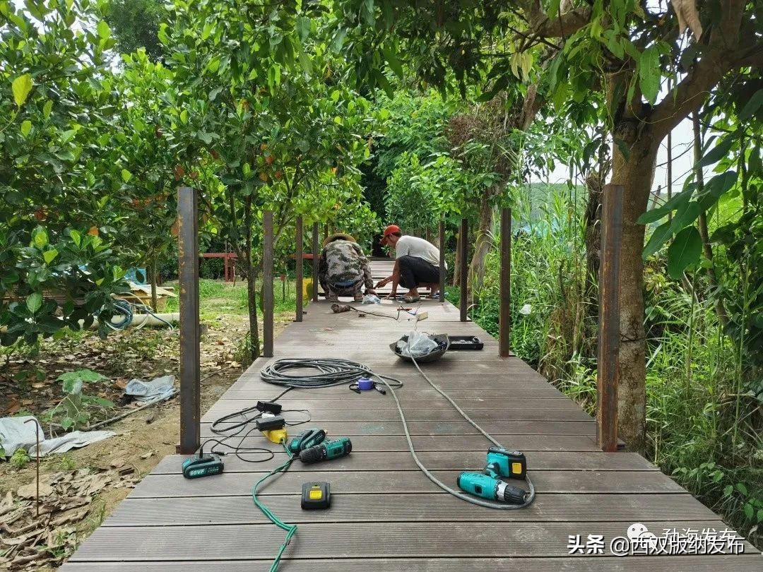 云南省现代化边境小康村,勐海乡村振兴