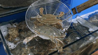 广东开海吃海鲜攻略,开海吃海鲜攻略