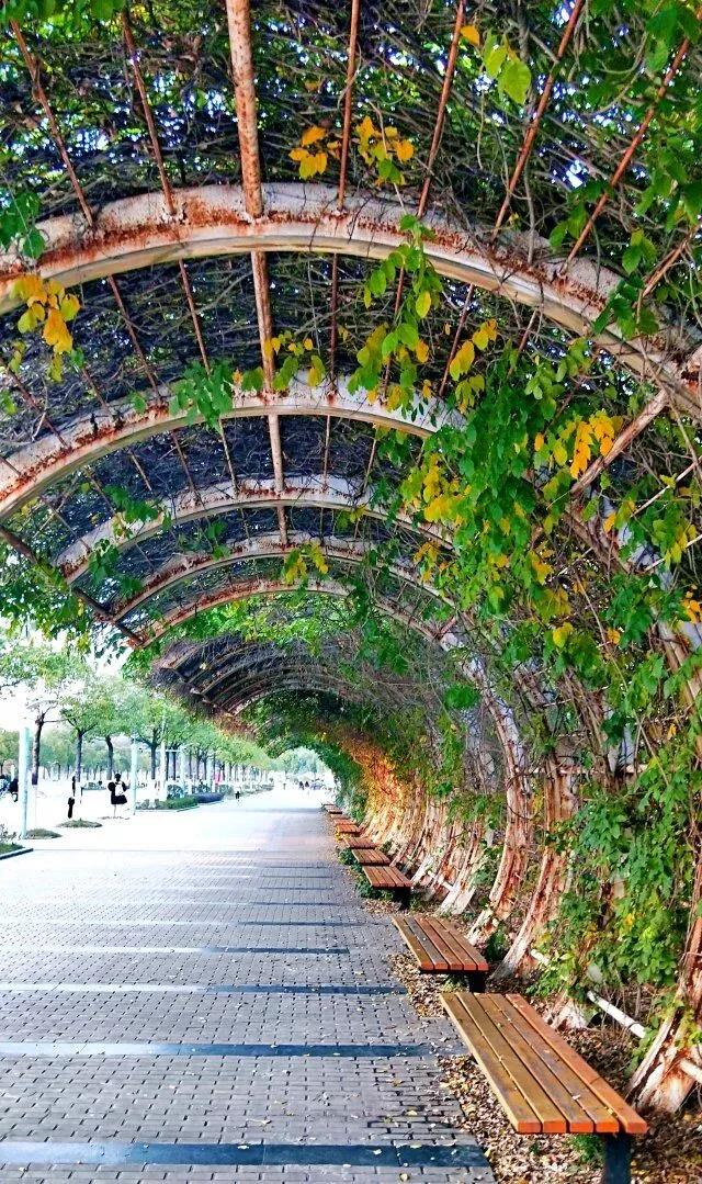 南京邮电大学中国科学技术大学,江苏省南京邮电大学专升本