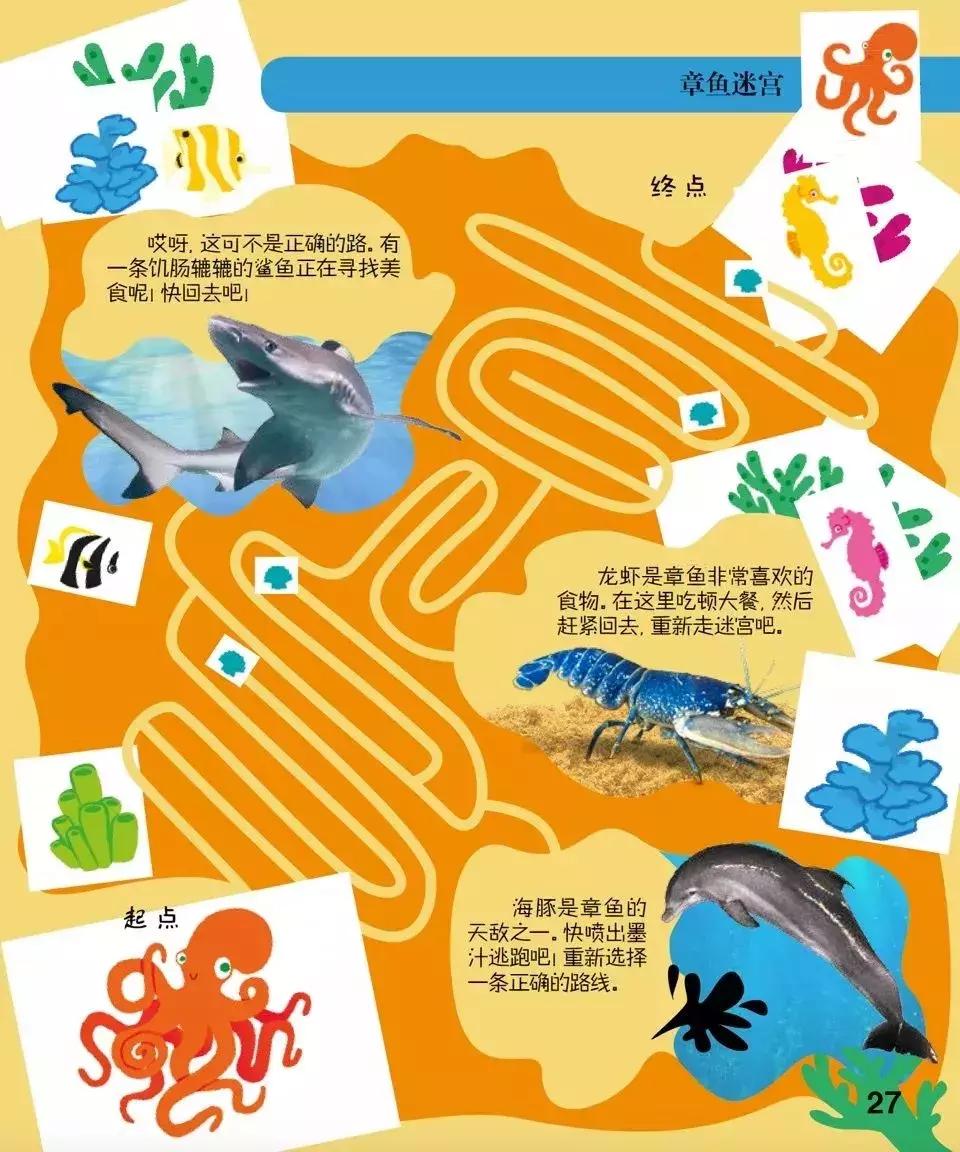 被封神的DK儿童科普书籍，到底哪些值得读？建议家长入手前看这篇