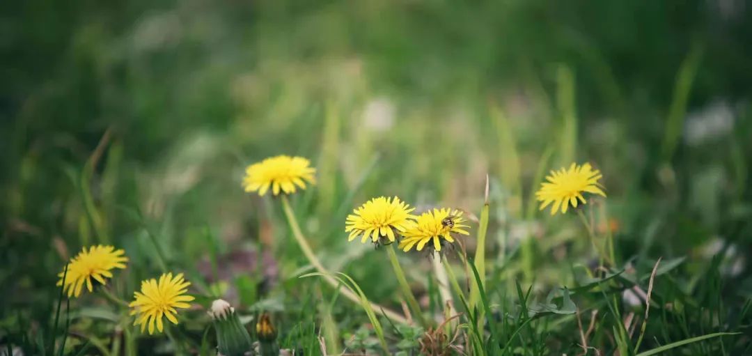 小李阿姨视频,小李阿姨生活视频