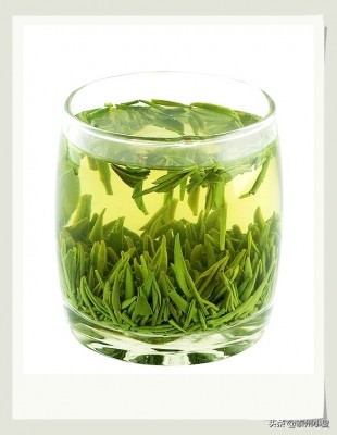 各地茶叶品牌,各地名茶价格