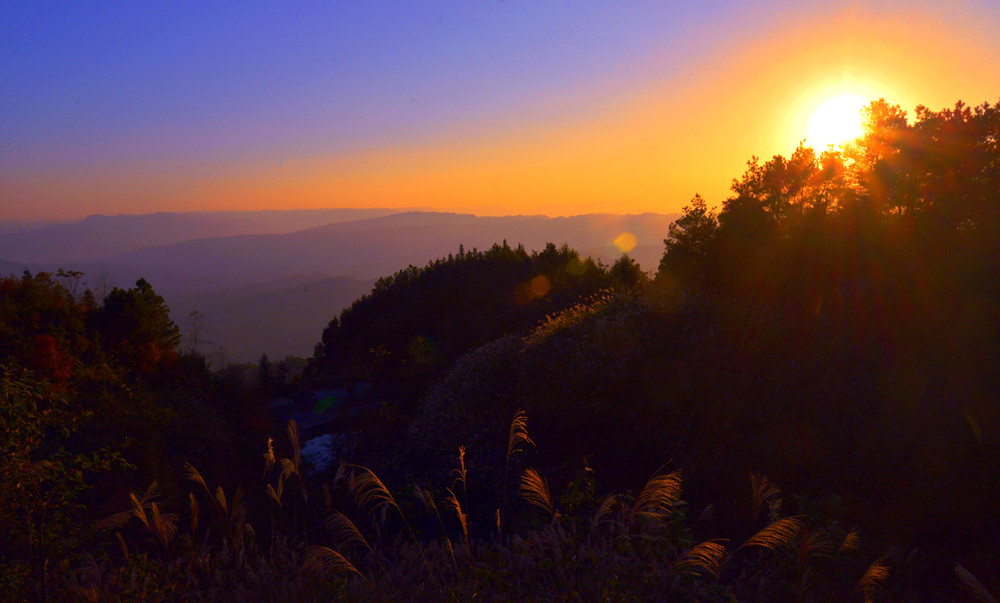 西部重庆：綦彩画廊留人香三养綦江名四方