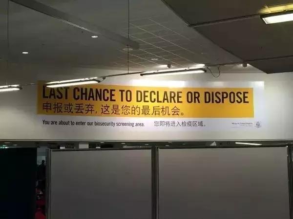 出国申报物品是什么意思,出国托运行李丢失里面的物品