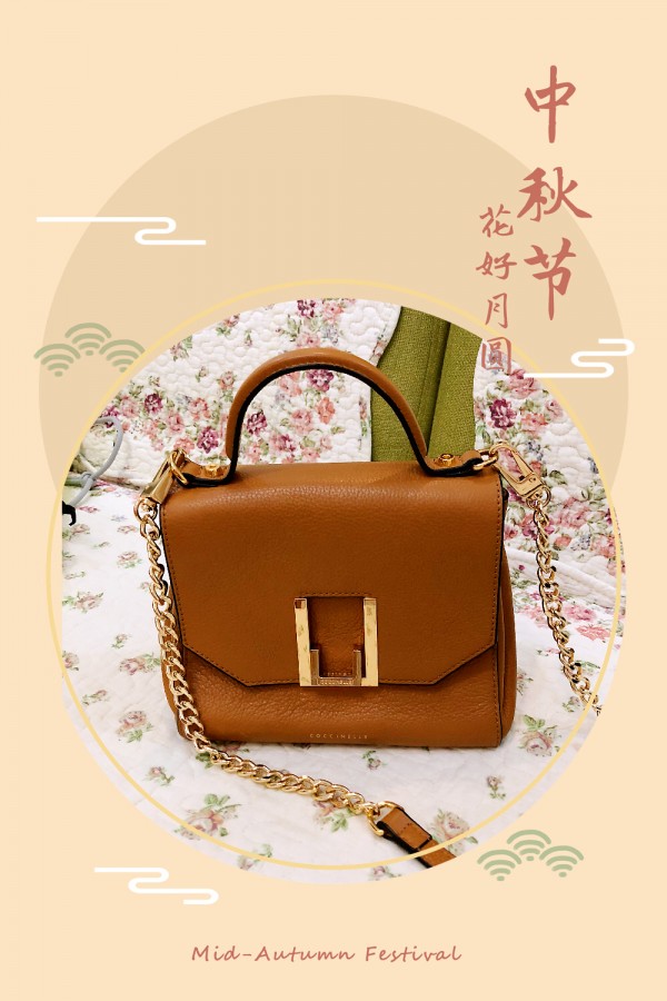 小包搭配图片大全中年人,比较经典百搭的小包款式